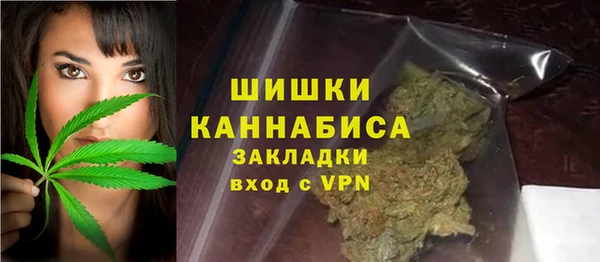 мдпв Елизово