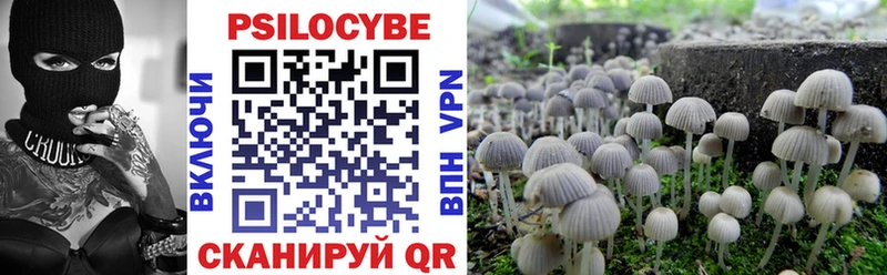 Купить где  Юрьев-Польский  Псилоцибиновые грибы прущие грибы 